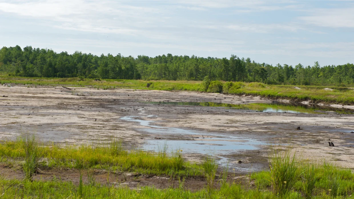 Történelmi mélypont felé közeledik a Tisza vízállása