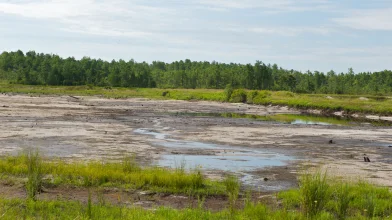 Történelmi mélypont felé közeledik a Tisza vízállása