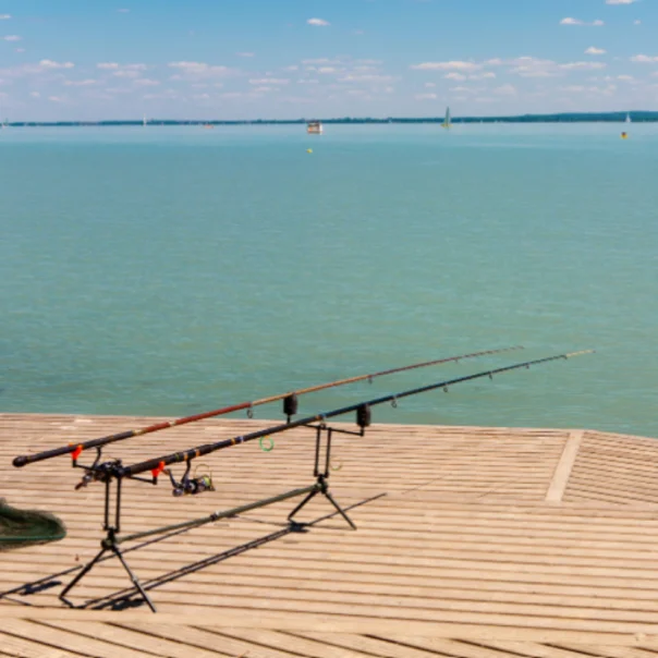 A Balatonból pecázzák a legtöbb halat