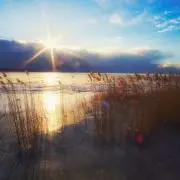 Megújul páratlan természeti kincsünk, a Kis-Balaton