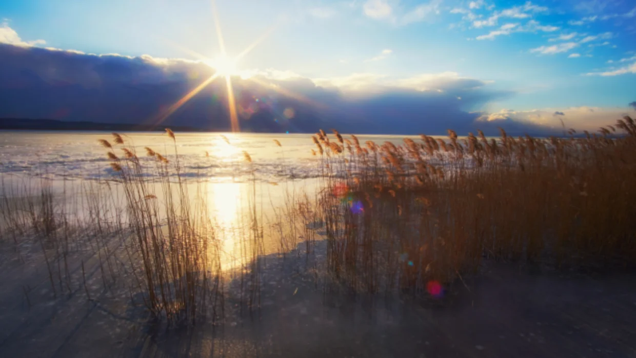 Megújul páratlan természeti kincsünk, a Kis-Balaton