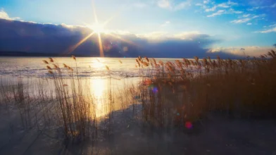 Megújul páratlan természeti kincsünk, a Kis-Balaton