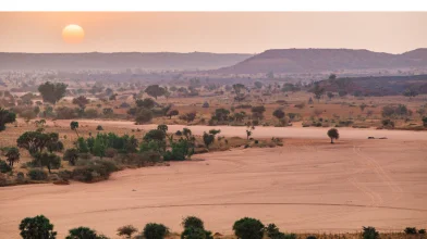 Erdőkertek menthetik meg az afrikai termőföldeket