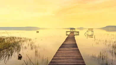 Ne (csak) hekket egyél a Balatonnál!