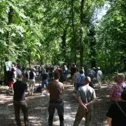 Az erdők klímavédelmi funkciója vált elsődlegessé