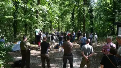 Zöldebb jövőt kap Kőbánya városi erdeje 