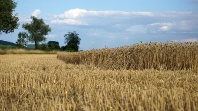 Brutális károkat okozott az idei extrém nyár