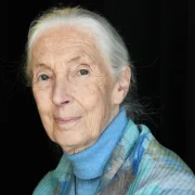 Elhunyt Jane Goodall