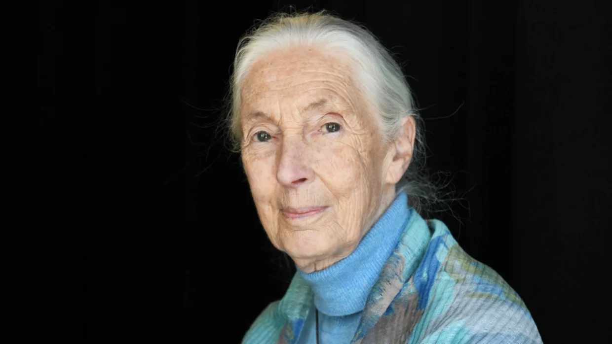 Elhunyt Jane Goodall