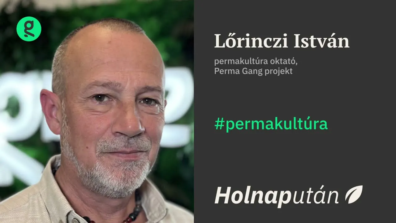 Szinte bárhol lehet kerted: a permakultúra segít visszatérni a természethez | Holnapután