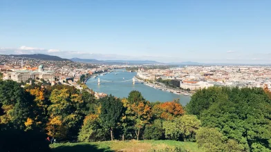 Ezért kell több fa a városokba