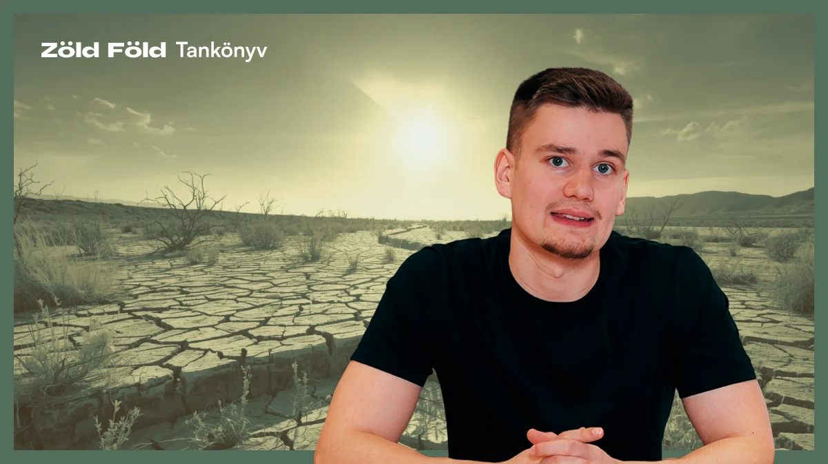 A víz az élet alapja