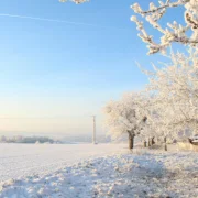 Kiderült, mit árul el a havas napok száma!