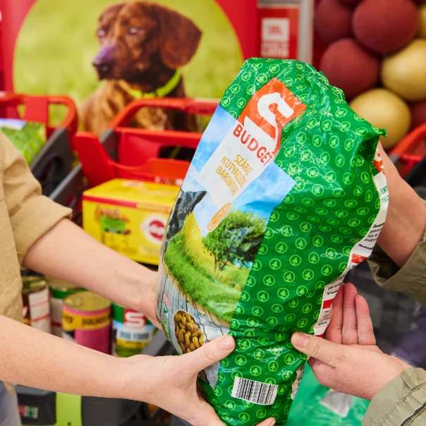Több tízezer felajánlás a menhelyi kutyáknak és cicáknak