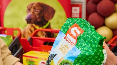 Több tízezer felajánlás a menhelyi kutyáknak és cicáknak