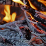 Hamu a kertben: így használd, hogy csodákat tegyen!