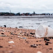 Tényleg megeszünk hetente egy bankkártyányi műanyagot? – Podcast