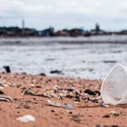 Mégsem eszünk meg hetente egy bankkártyányi műanyagot?