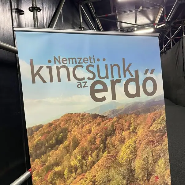 Az erdő a jóllét záloga, de vajon sikerül megőriznünk?