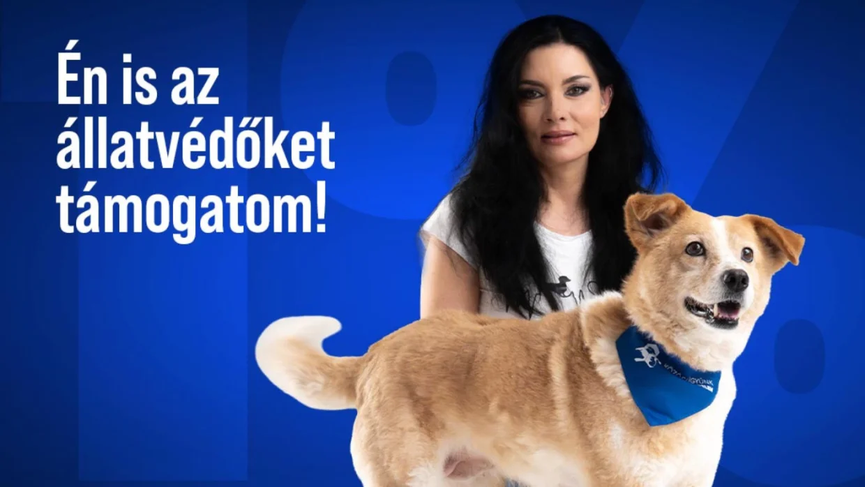 Támogassuk az állatvédelmet!