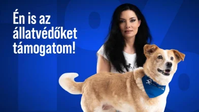 Támogassuk az állatvédelmet!
