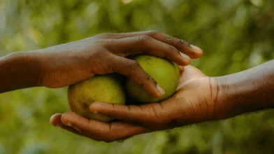 Folytatódik a nagy sikerű agrárszakképzési program Ghánában