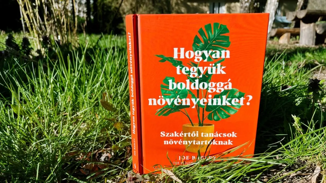 A növénydokit kérdezd, ne az AI-t! – Könyvajánló