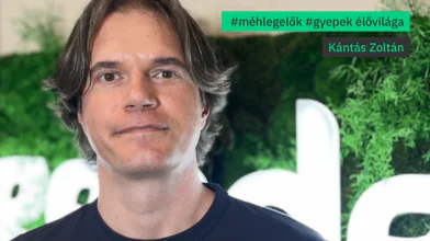 A méhlegelő nem csak a méhekről szól – Podcast