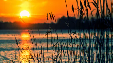 A Balaton állapota: vízállás, vízminőség és ami nyárra várható