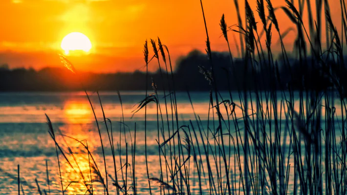 A Balaton állapota: vízállás, vízminőség és ami nyárra várható