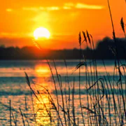 A Balaton állapota: vízállás, vízminőség és ami nyárra várható