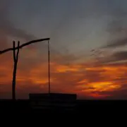 A darvak érkezése előtt is érdemes kilátogatni a Hortobágyra