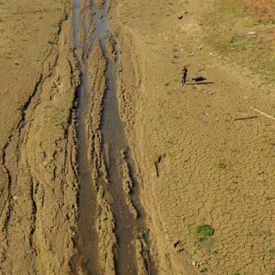 Kiszáradt a 105 kilométeren keresztül folyó, „túlzabolázott” Tarna